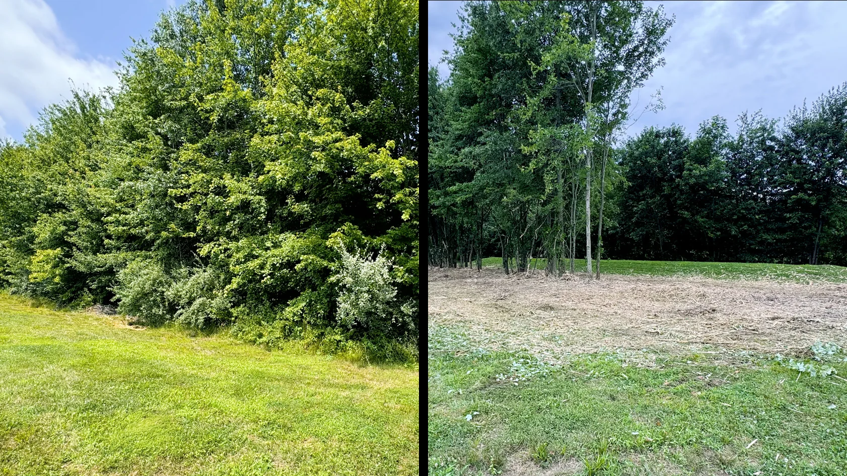 Operator using specialized mulching attachment to clear dense brush with controlled precision